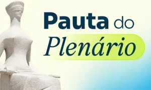 STF julga Lei Geral do Licenciamento Ambiental e casos sobre eleição no RJ