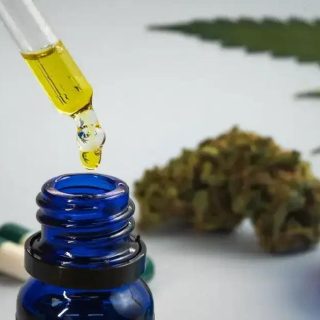 STJ prorroga regulamentação da maconha medicinal até março de 2026