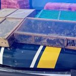 Cercados e animais silvestres apreendidos durante operação policial, expostos no capô de um veículo de autoridade de segurança pública, relacionados à proteção dos direitos de animais e combate ao tráfico de fauna.