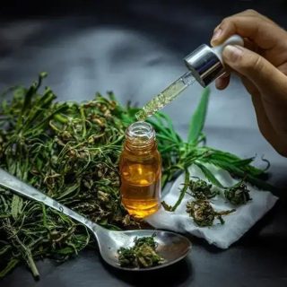 TRF-3 autoriza importação de sementes de cannabis para uso medicinal