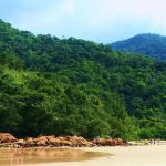 Litoral de praia com águas tranquilas, areia dourada e uma exuberante vegetação verde ao fundo, cenário ideal para lazer e contato com a natureza.