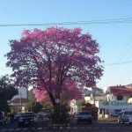 Vaga para facilitador de atividades físicas na Prefeitura de Três Passos RS